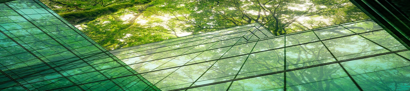Singapore’s Green Building Momentum: What’s Driving It in 2025?